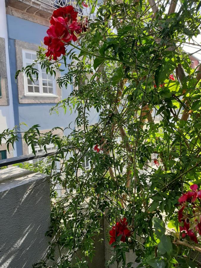 Amazing City Center Apartment Porto Villa Loios מראה חיצוני תמונה